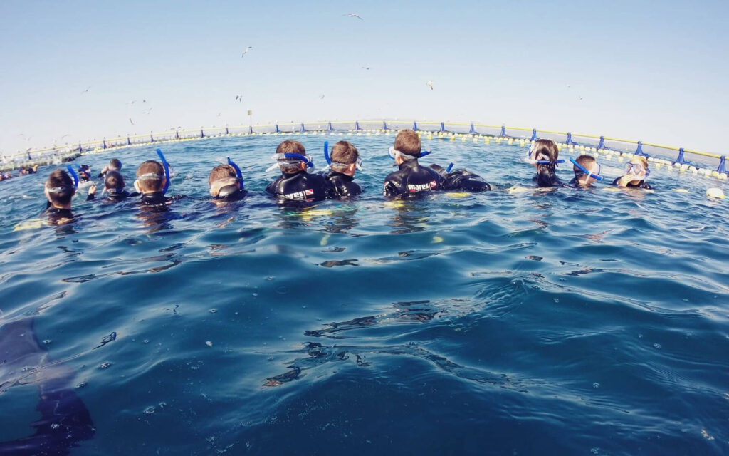 imagen-de-unos-niños-haciendo-snorkel-entre-atunes-rojos-en-aguas-cristalinas-náutic-parc-unica-en-el-mundo