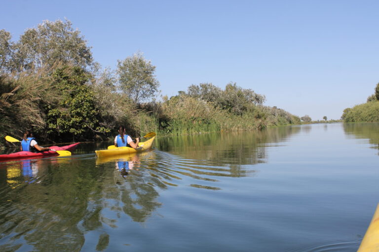 explora.la-belleza-del-delta-en kayak